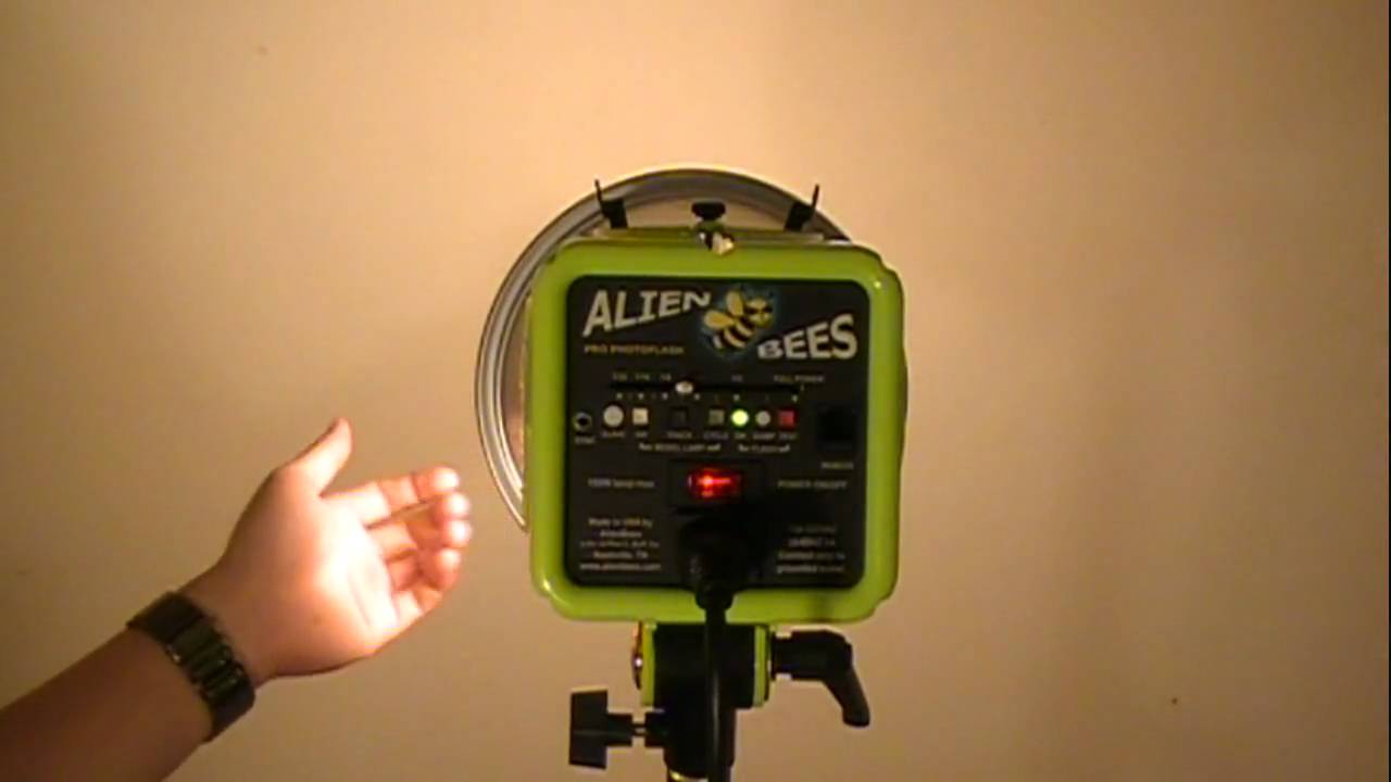 Travis Young Photography: Alienbee B1600 Introduction