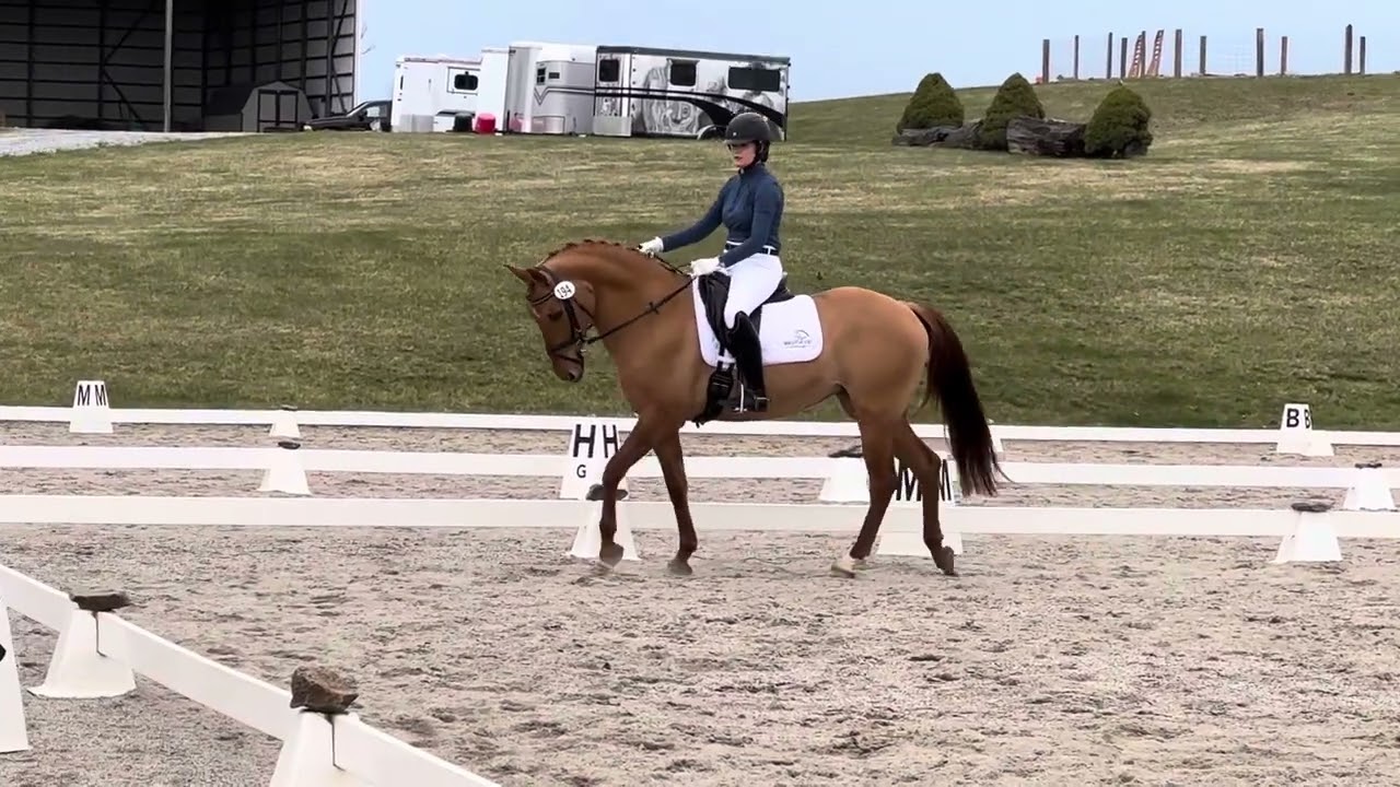 Jenna Brown & Flexi - 2023 USEF Training Level Test 2