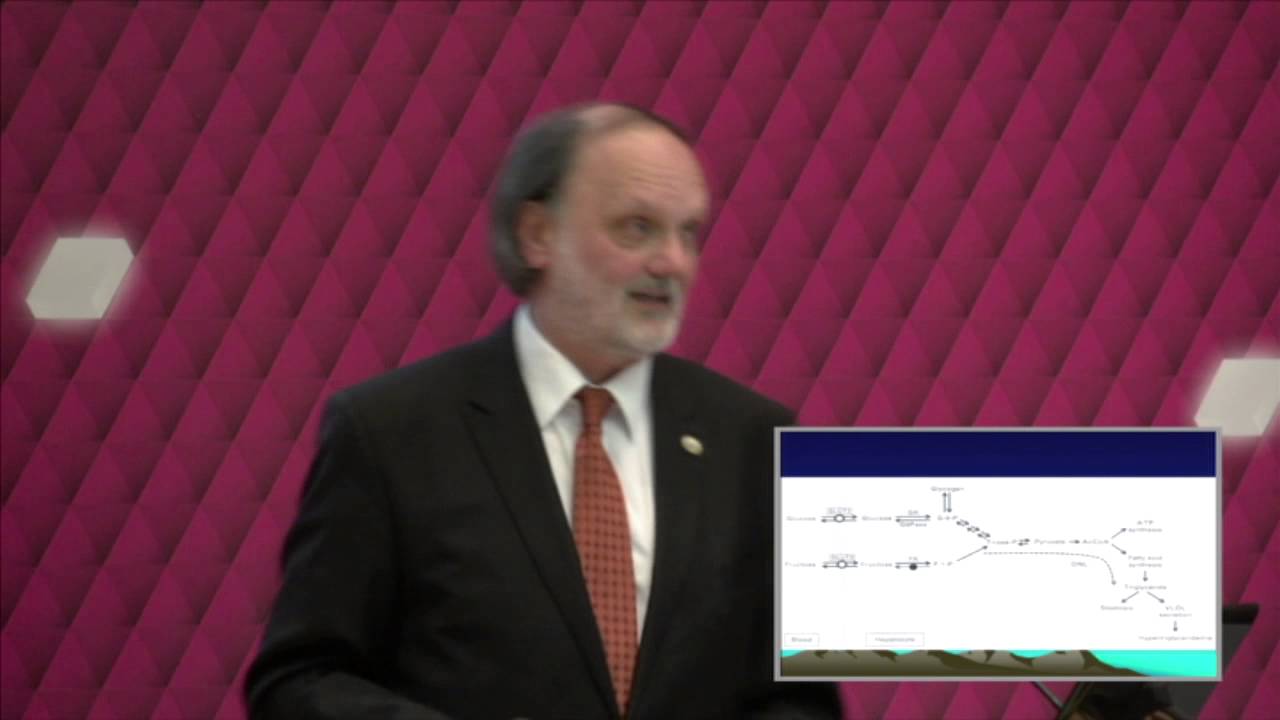 Dr. Karádi István - A fruktóz és a metabolikus szindróma
