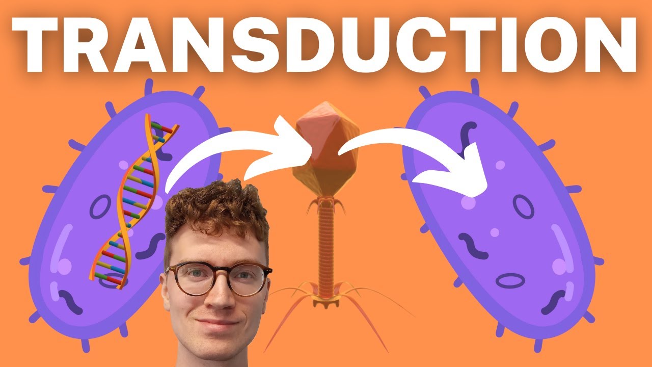 Bacterial Transduction