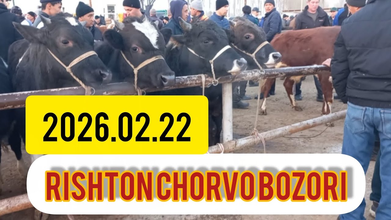 RISHTON CHORVO BOZORI 2026.02.22