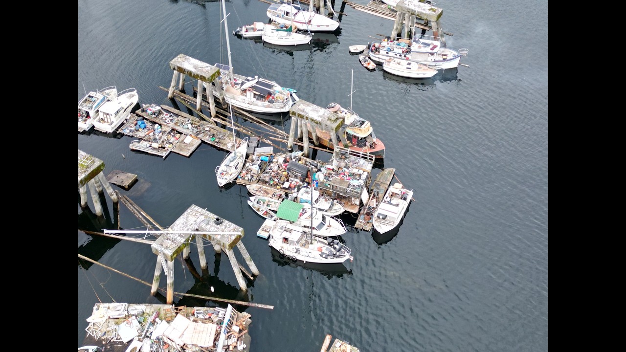 Ladysmith Harbour   Dogpatch