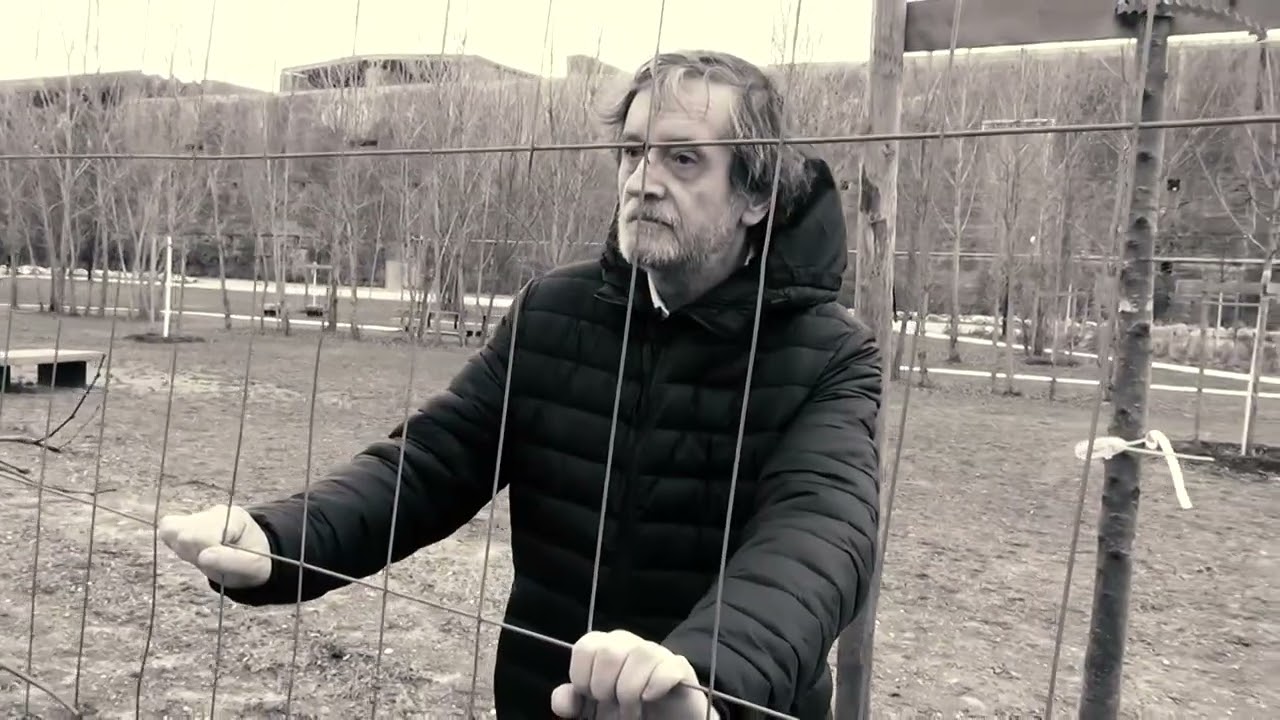 Les arbres écrivent aussi