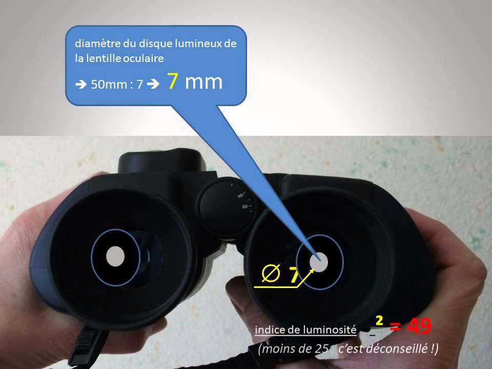 Bien choisir ses jumelles