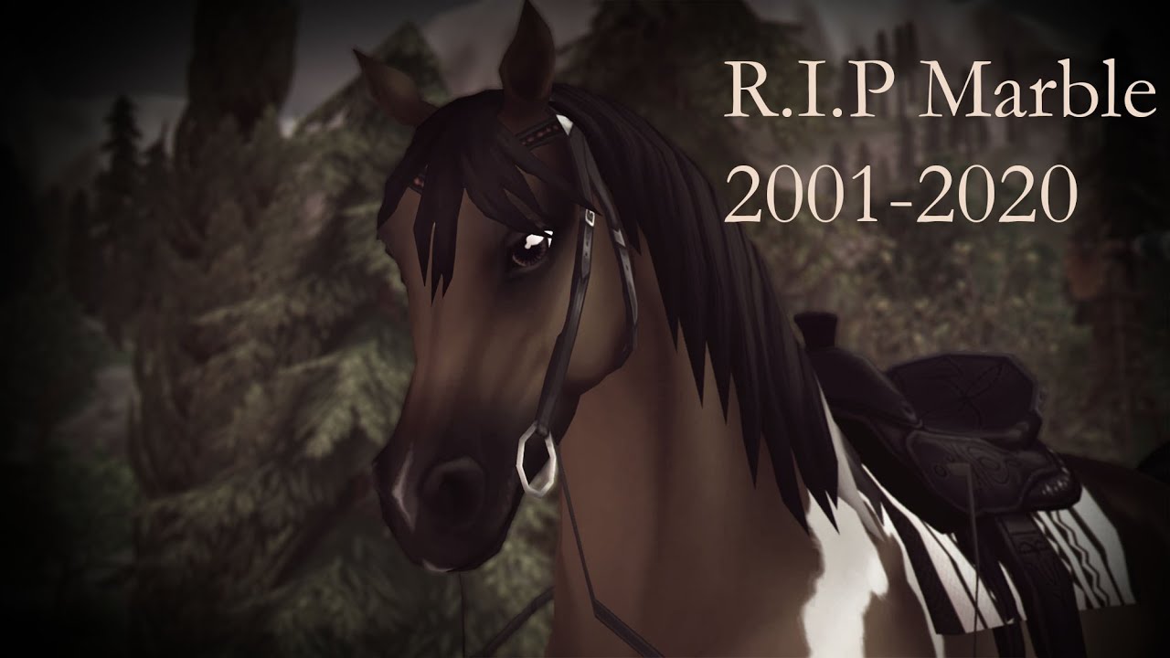 Marble's Foal || Star Stable Realistic Roleplay || Haley KittenHope