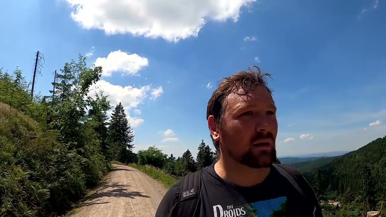 Stempeln gehen im Sommer. Harzer Wandernadel Tour 44 Stempel HWN 131 und HWN 141 bei Bad Grund