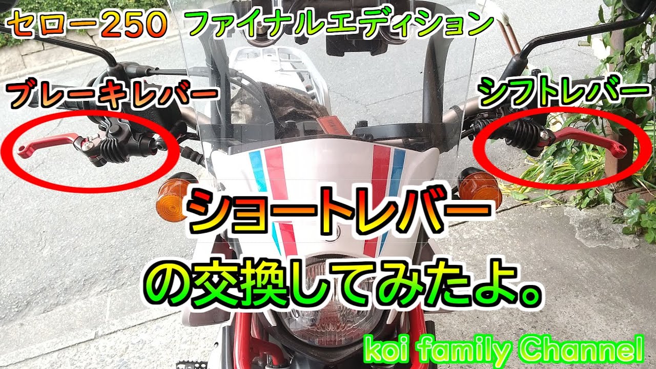 セロー250 可とう式 ショートレバー 取付 Final Edition