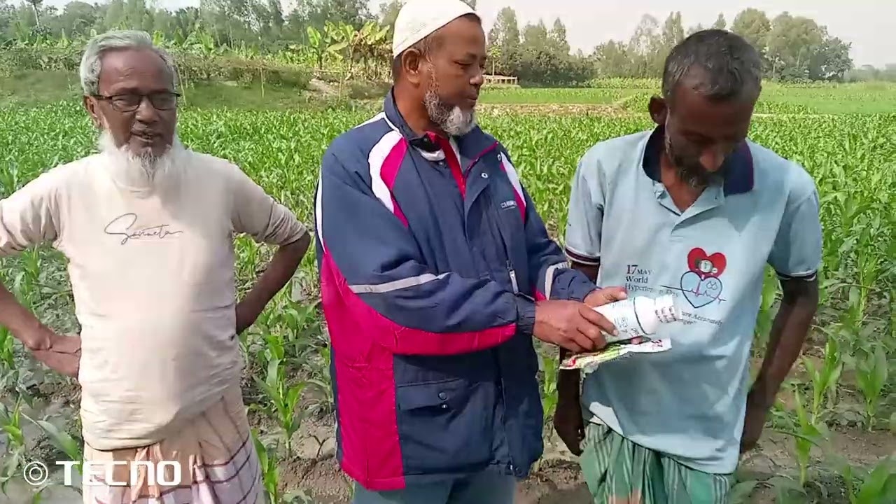 ভুট্টা খেতে আগাছা পরিষ্কার করতে সেফ ক্লীন মেসার্স সাইদার রহমান কৃষি সেবা অধীনে পাওয়া যায়। কুতুব পুর 