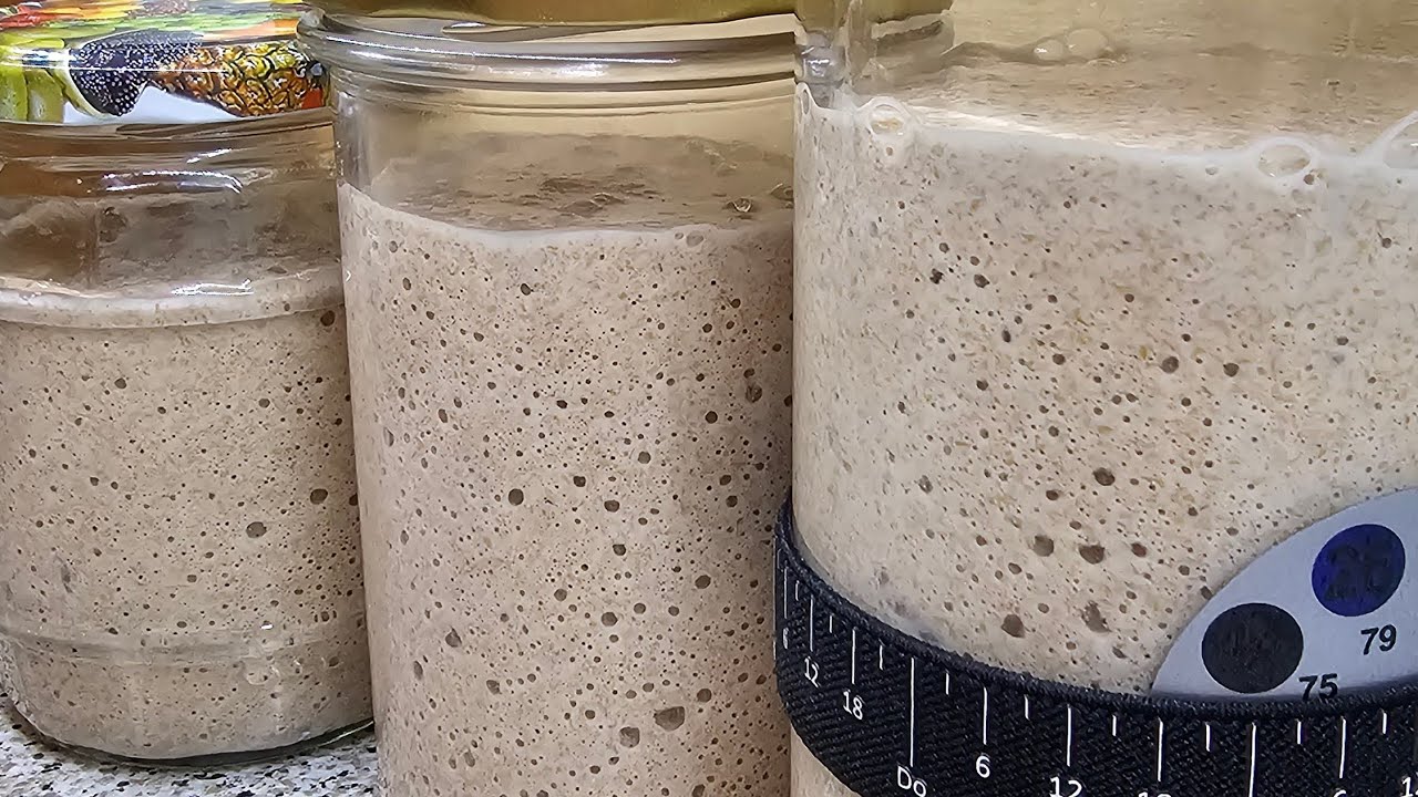Sicherheitskopie Sauerteig - trocknen und haltbar machen 💡
