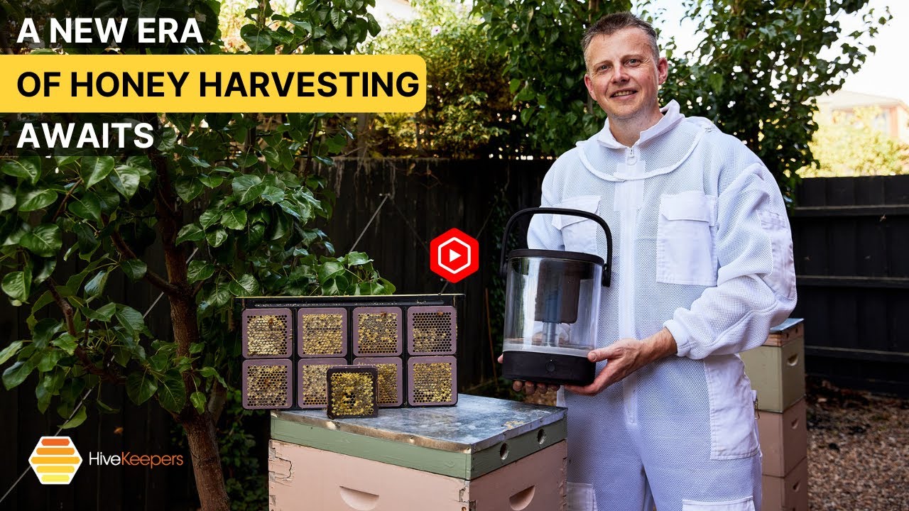 Harvest Pure Honey in Just 5 Minutes with the Micro Honey Harvester