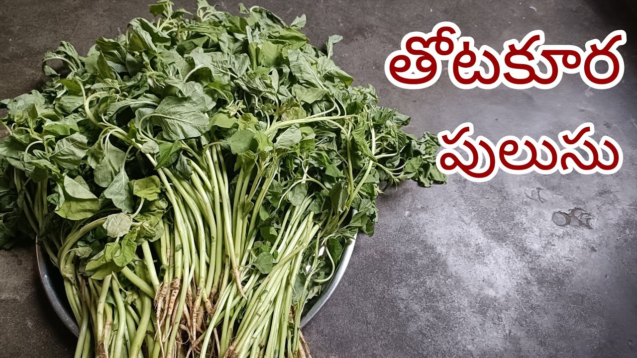 #తోటకూరపులుసు#ThotakooraPulusu#கீரைகுழம்பு#AmaranthusRecipe.