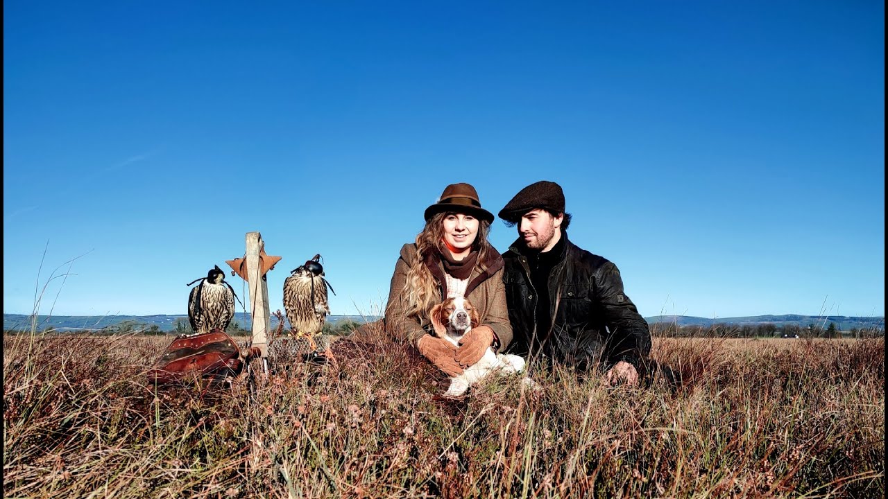 Falconry in Ireland 2021 (+ Snipe meeting in Sneem, Irish Hawking Club)
