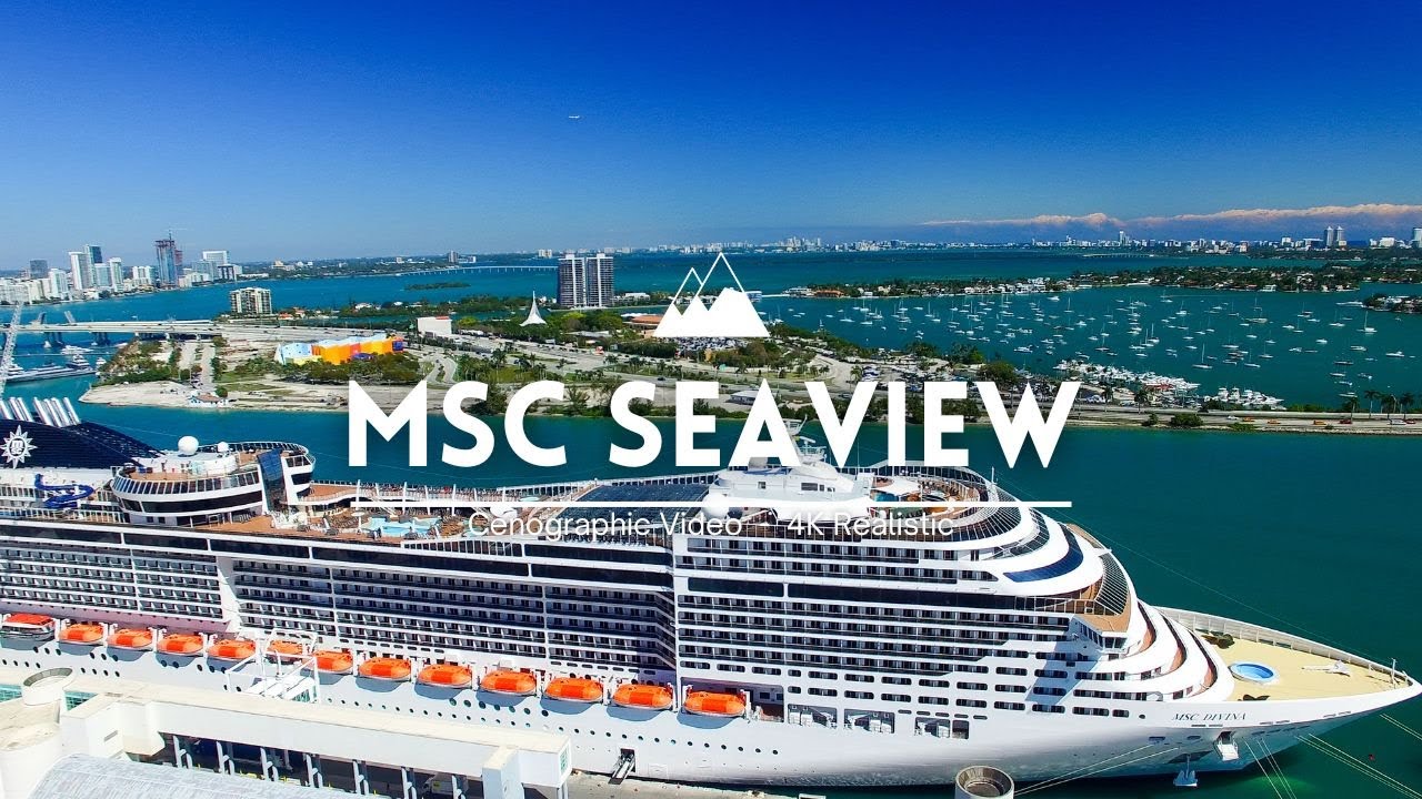 MSC SEAVIEW 🇧🇷 ❮4K 60fps❯ HDR UltraHD Walk ✈ Relaxing Scenic Film