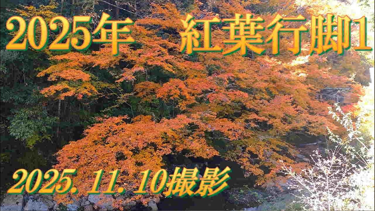 2025年紅葉行脚1　2025.11.10撮影