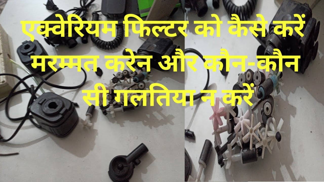 Aquarium filter ko kaise repair Karen aur || कौन-कौन  || Si galtiya na Karen•••√