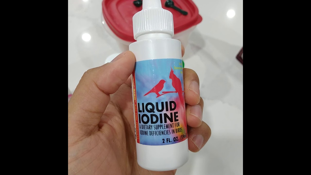 Gouldian supplements / diet