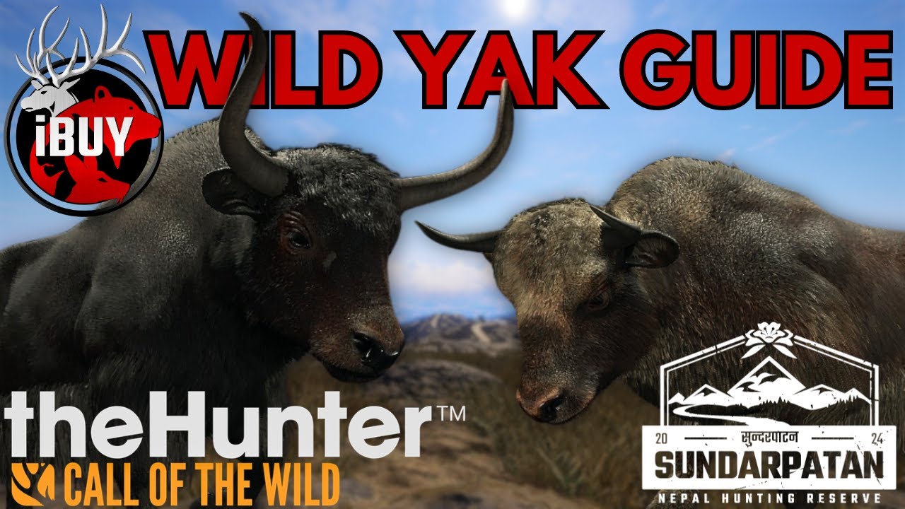DETAILED WILD YAK GUIDE! - Call Of The Wild Sundarpatan