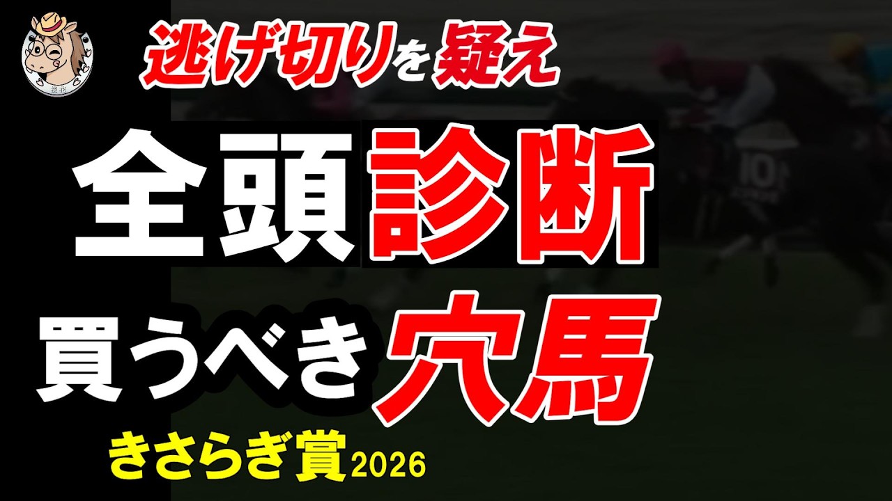 【きさらぎ賞2026 全頭診断】京都は差し有利が本線｜重賞だけ見て判断すると危険な理由