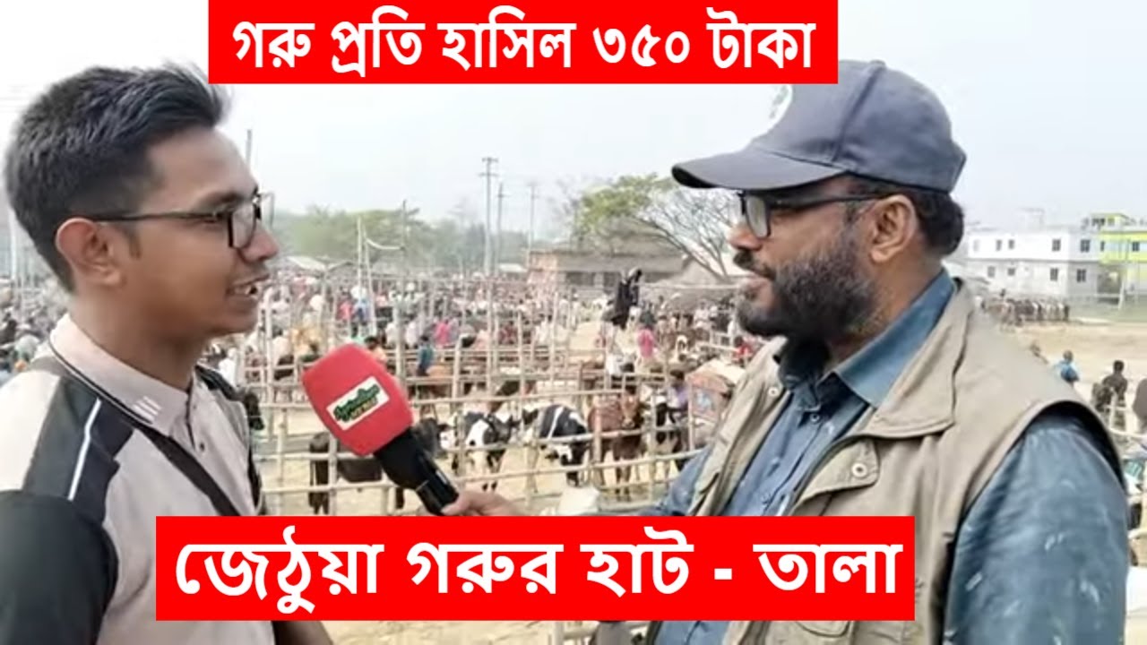 সাতক্ষীরার জেঠুয়া গরুর হাটে গরুর দাম কেমন যাচ্ছে দেখুন | jethua gorur haat