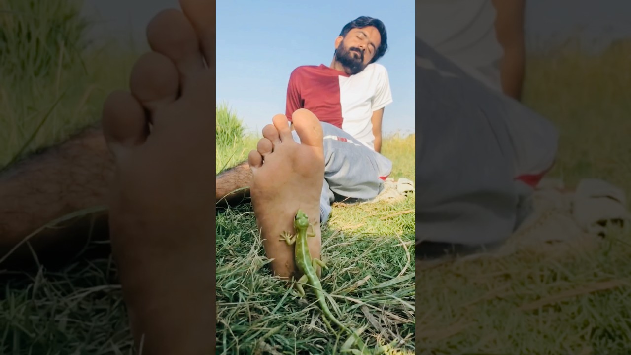 Allah Tala ke madad#ytshorts#news#prayer#today#trending#emotional#youtubeshorts#shorts