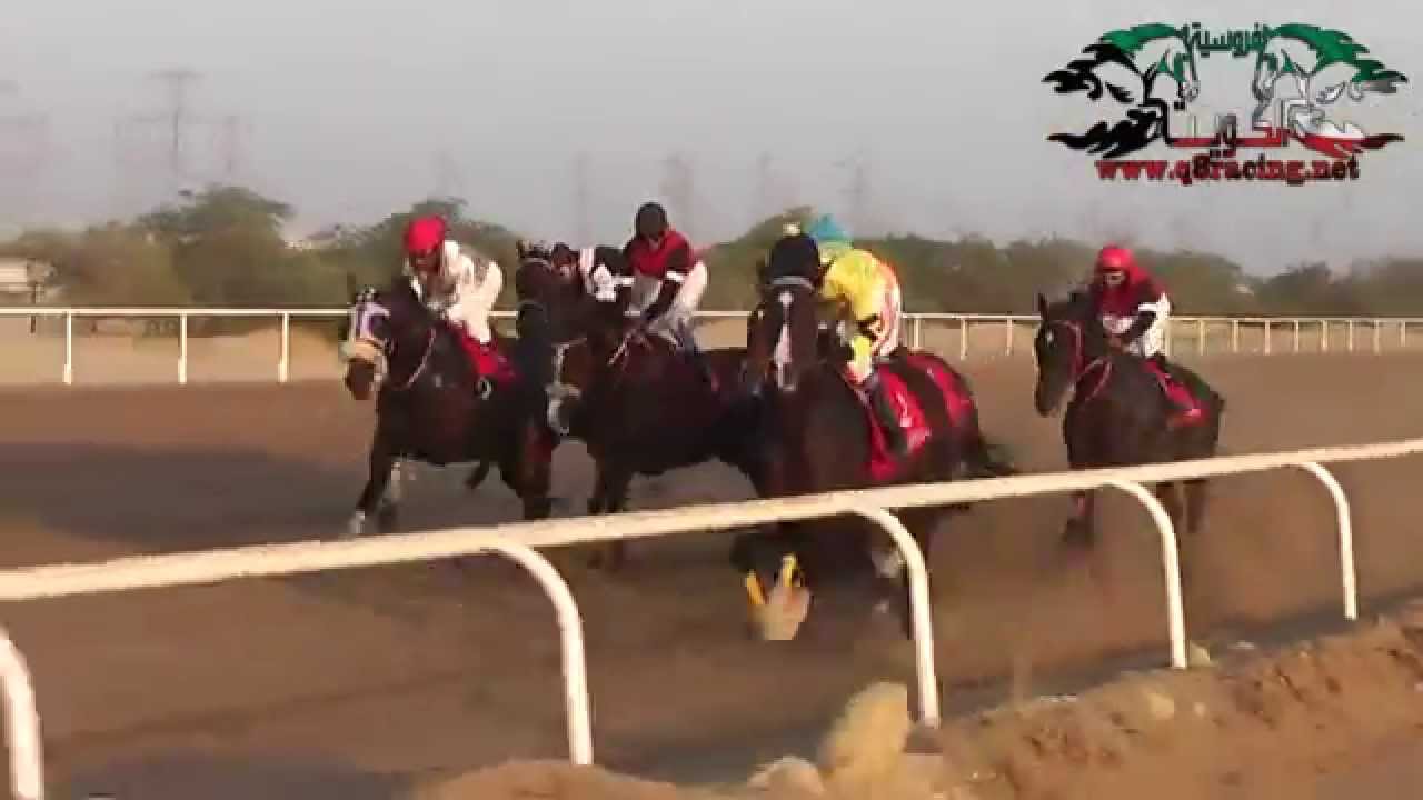 الجواد ازهلهم