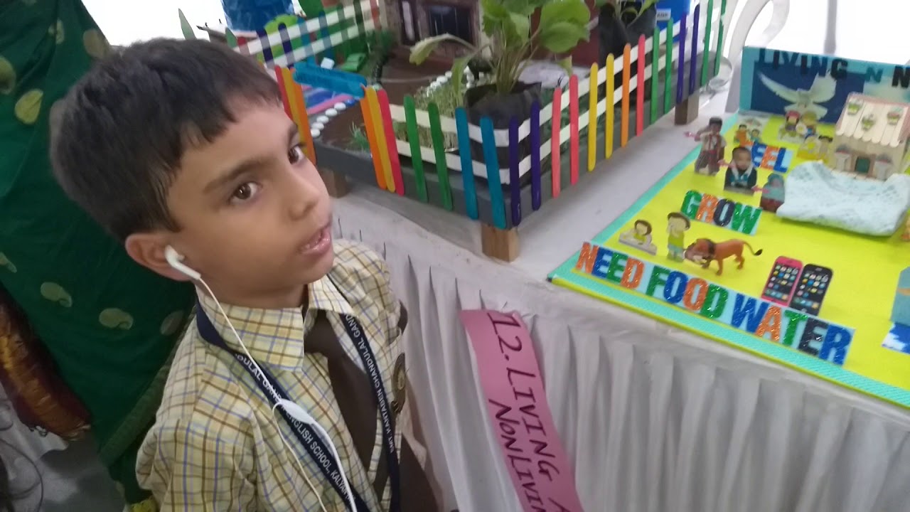 Science project Living and non living thing By Rakin Kazi.