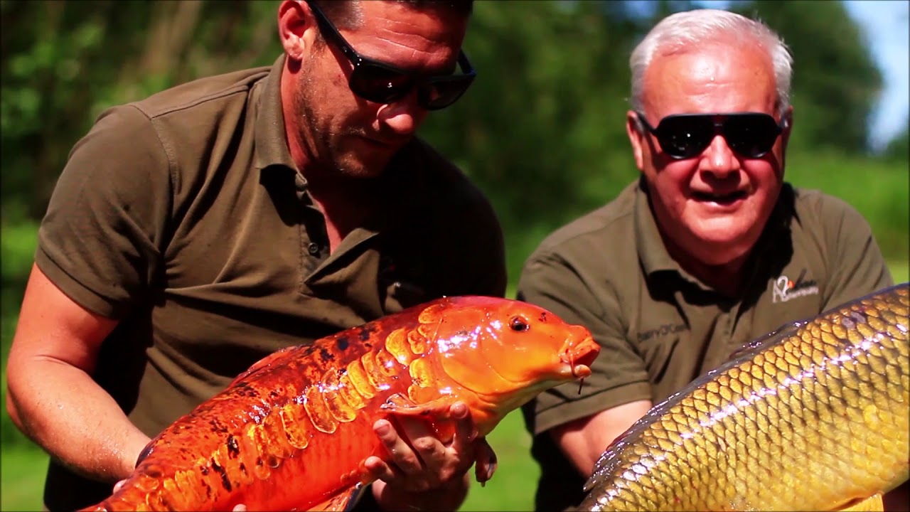 Carp Fishing The Oconnor Angle
