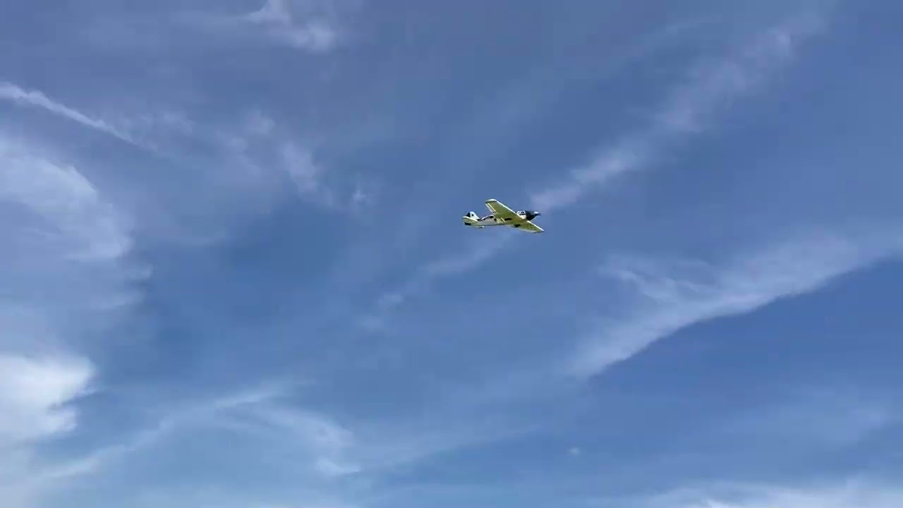 bf-109 Šad model