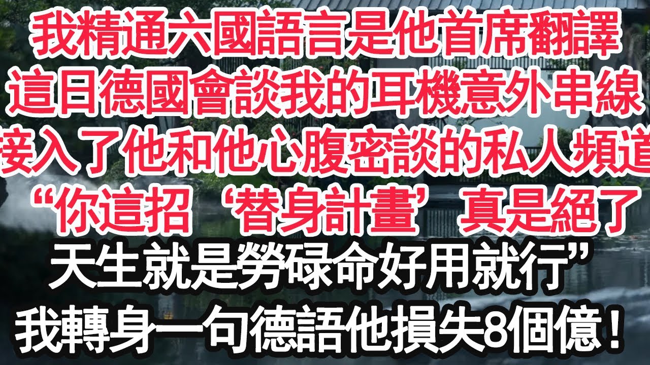 我精通六國語言是他首席翻譯，這日德國會談我的耳機意外串線，接入了他和他心腹密談的私人頻道“你這招‘替身計畫’真是絕了，天生就是勞碌命好用就行”我轉身一句德語他損失8個億！【亞男】【大女主】【婚姻自主】