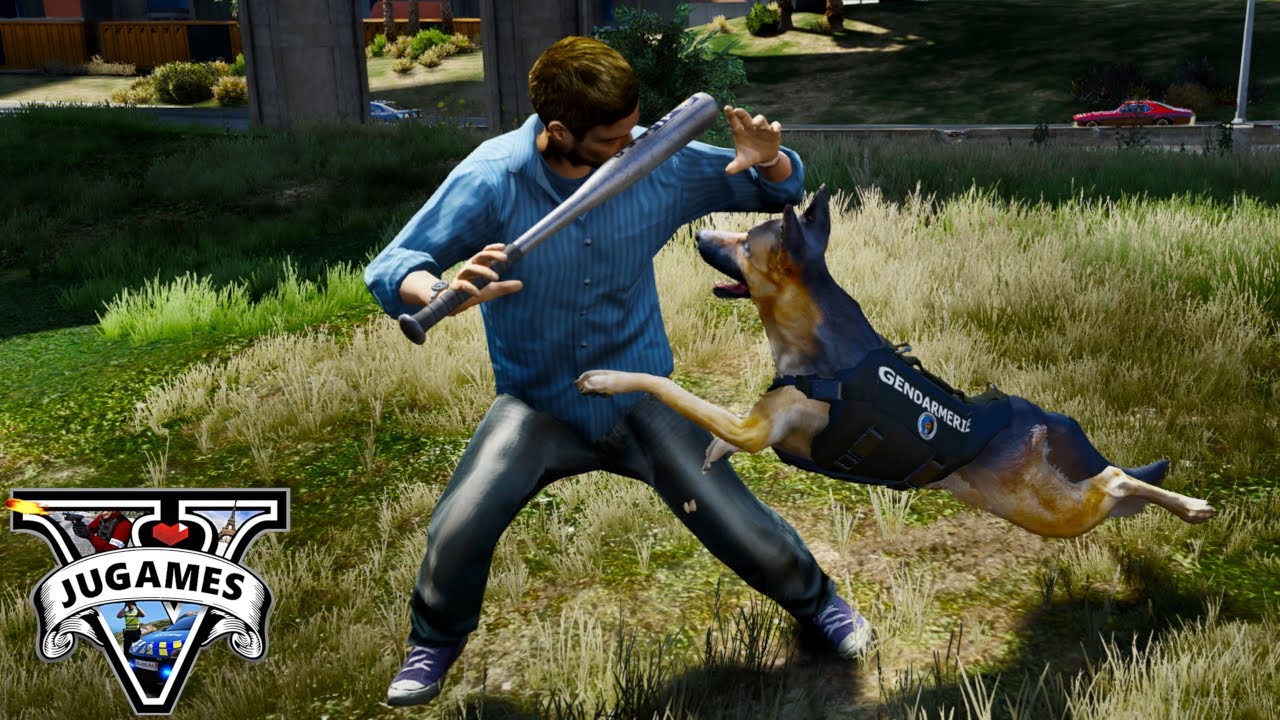 KIKI LE CHIEN D'ATTAQUE DE LA GENDARMERIE [GTA LSPDFR]