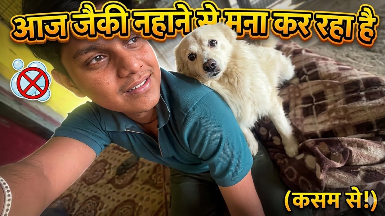 Dhabe ka sabse shararti sadasya! 🏠