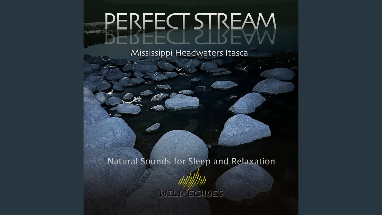 The Calming Itasca Stream