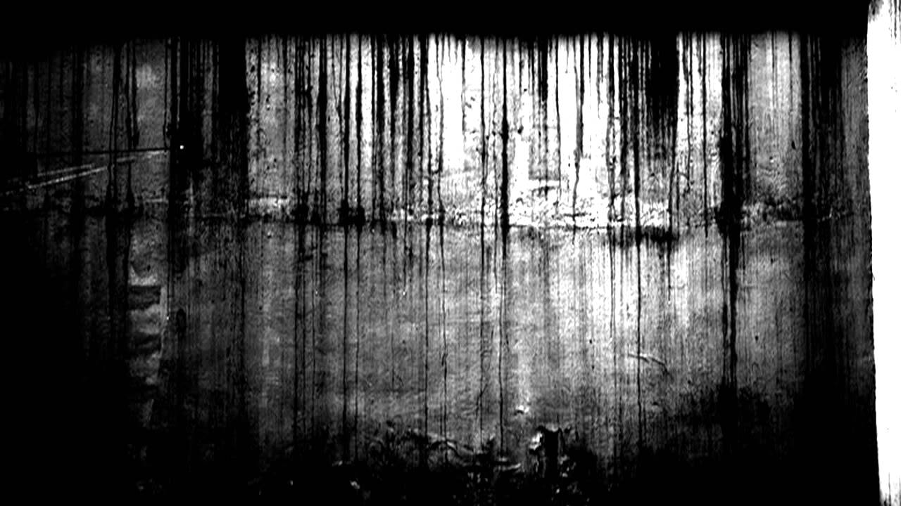 Anicon - Lash and Ladder