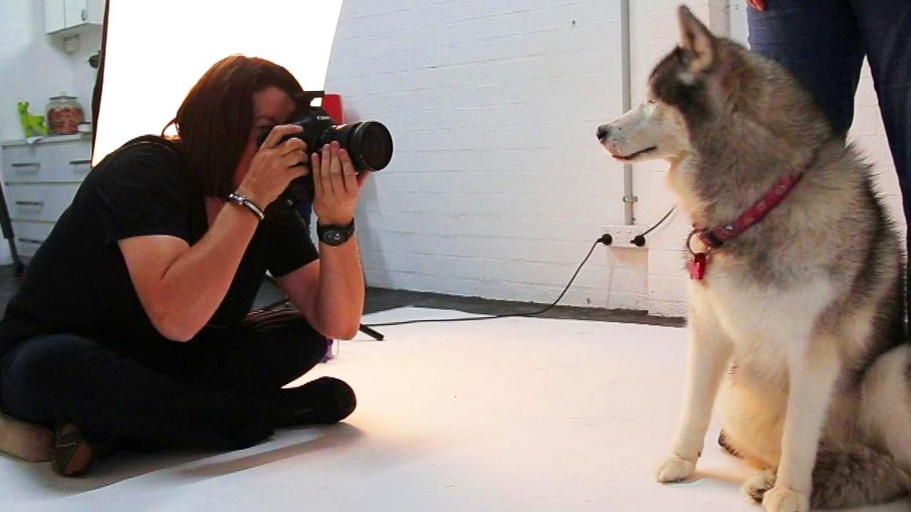 'Imperfect' Dogs Take Spotlight in New Photography Book