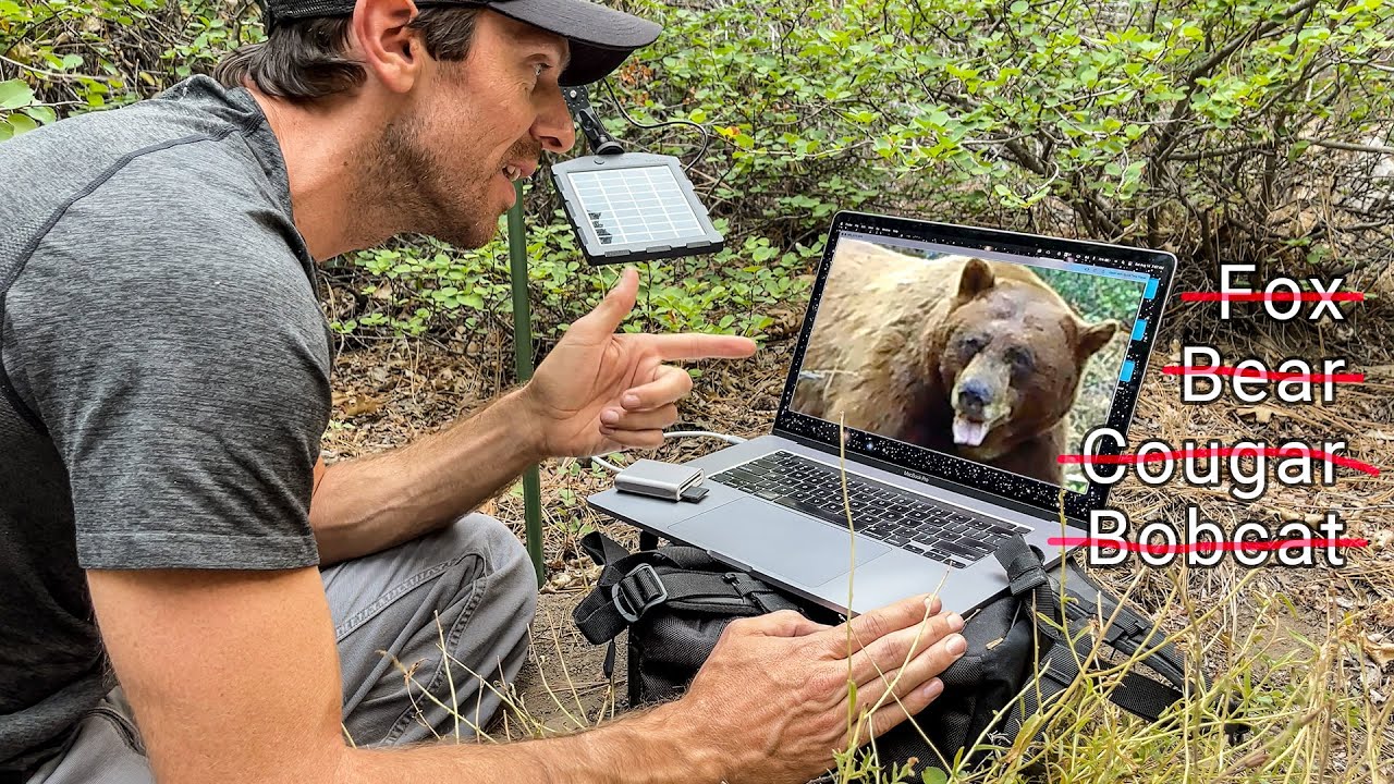 At this point it's a LITTLE scary, but these animals are amazing | Building Everstoke