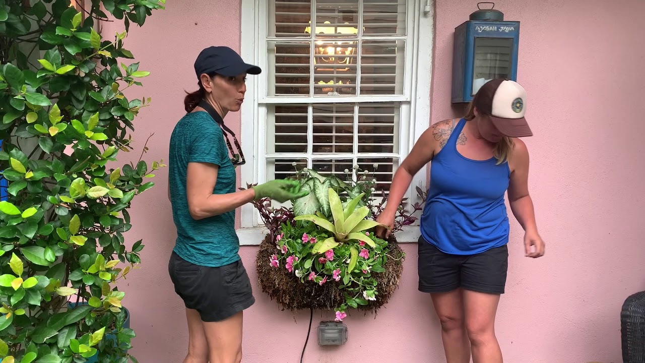 Charleston Window Boxes