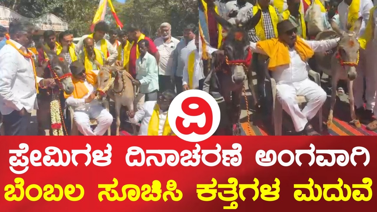 ಪ್ರೇಮಿಗಳಿಗೆ ಬೆಂಬಲ ಸೂಚಿಸಿ, ವಾಟಾಳ್ ನಾಗರಾಜ್ ನೇತೃತ್ವದಲ್ಲಿ ಕತ್ತೆಗಳ ಮದುವೆ | vatal nagaraj