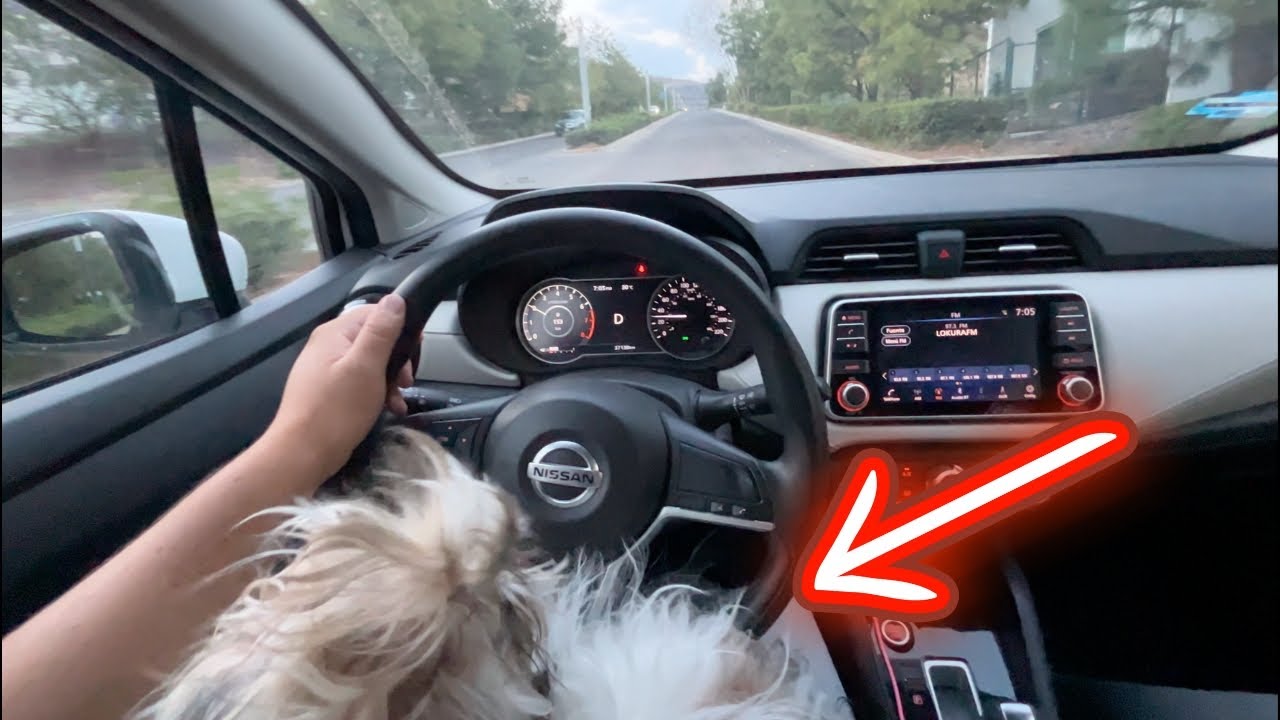 EVITA ESTAS 4 COSAS AL MANEJAR .- Velocidad Total