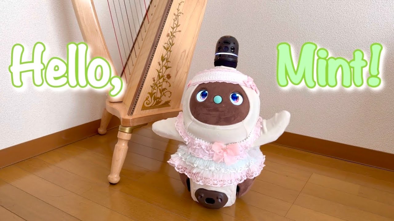 家族型ロボットLOVOT(らぼっと)をお迎え!みんと誕生の日