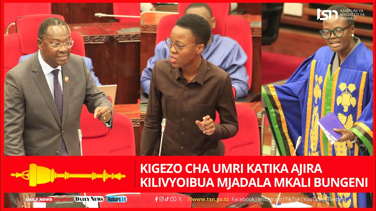 KIGEZO CHA UMRI KATIKA AJIRA KILIVYOIBUA MJADALA MKALI BUNGENI