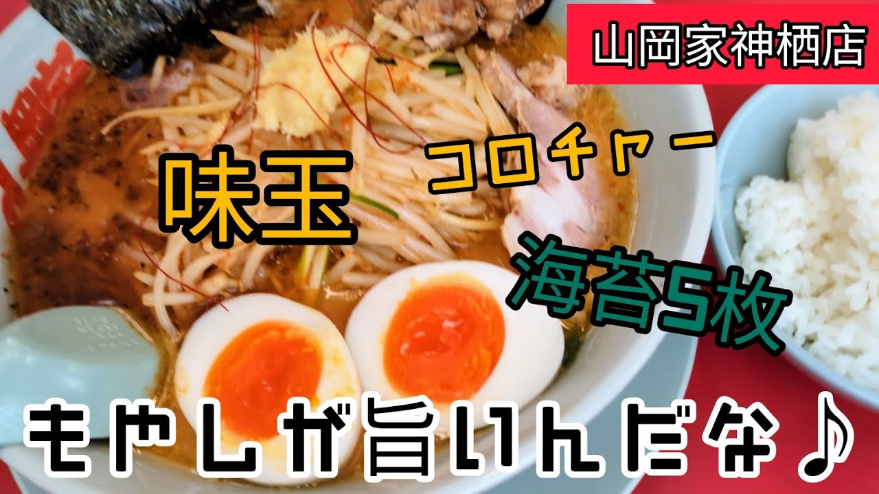 [山岡家]豪華な特製もやし味噌が旨いんだな♪ #G系特製もやし味噌ラーメン