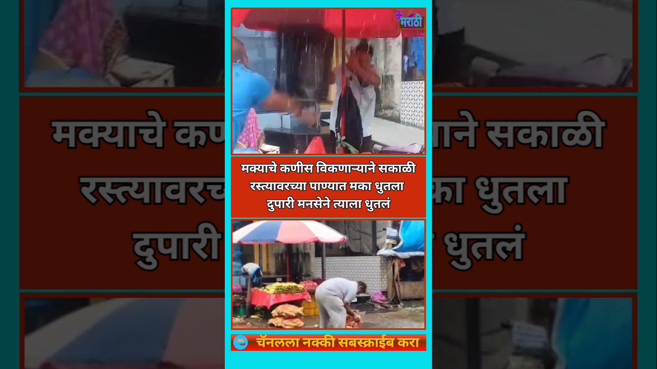 Manse Impact | गटाराच्या पाण्यात मका धुणाऱ्याविरुद्ध मनसेची कारवाई | #मनसे #rajthackeray #mumbai