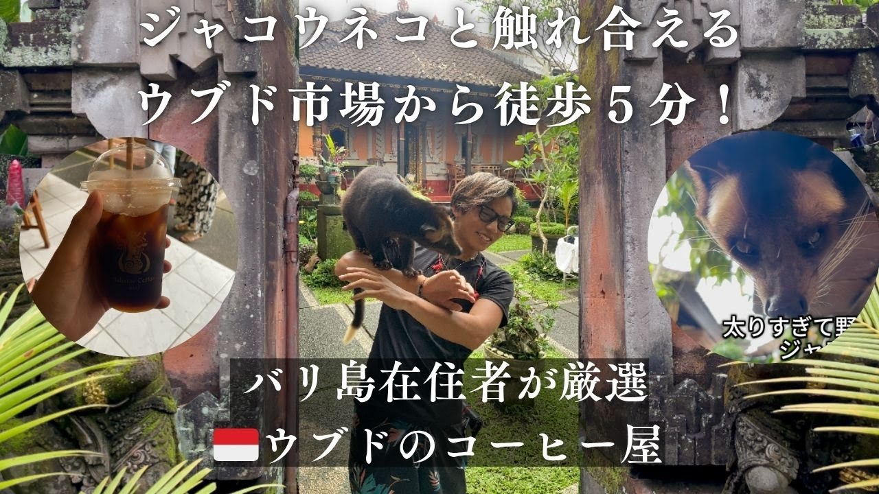 【バリ島ウブド】コーヒー好き必見🇮🇩ジャコウネコと遊べるおすすめ珈琲店☕️【在住者厳選・お土産にも◎】
