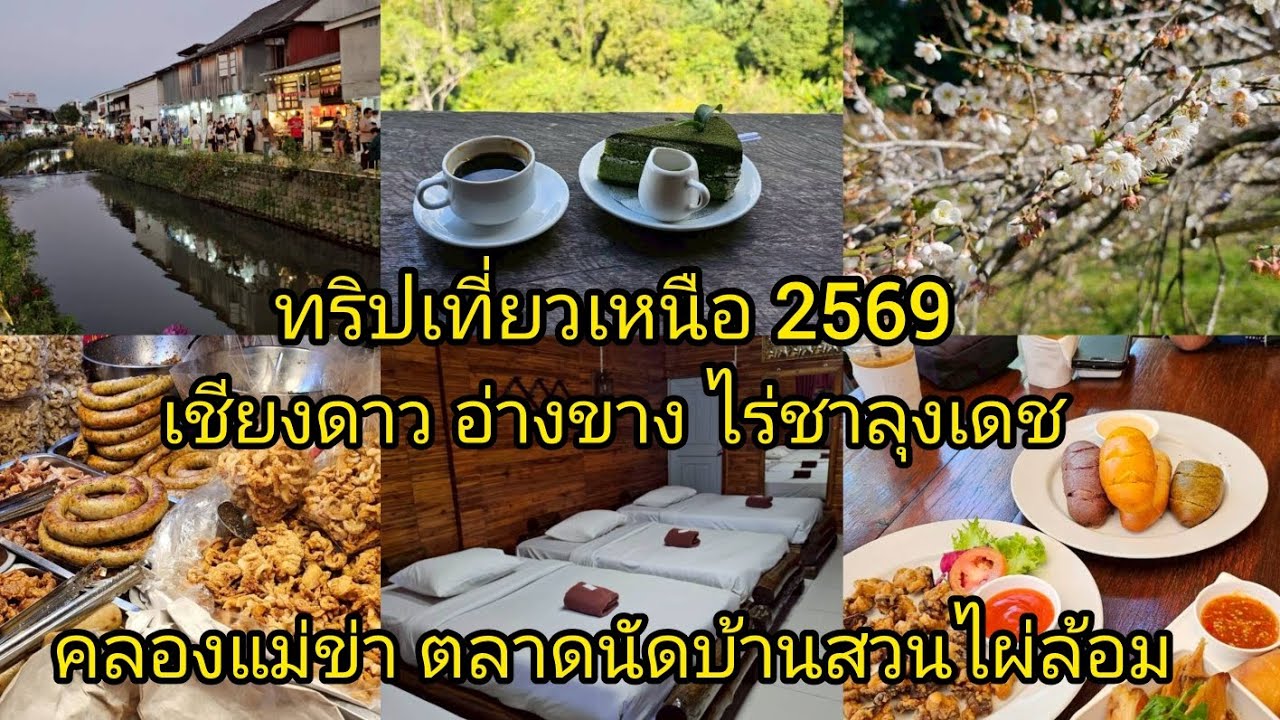 ทริปเที่ยวเหนือ 2569 เชียงดาว อ่างขาง ไร่ชาลุงเดช คลองแม่ข่า ตลาดนัดบ้านสวนไผ่ล้อม