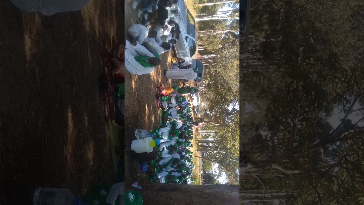 Mharidzo Oversear Muporofita Baba Saushoma New Ruponeso Apostolic Church @AlbanyTumbareMharidzo