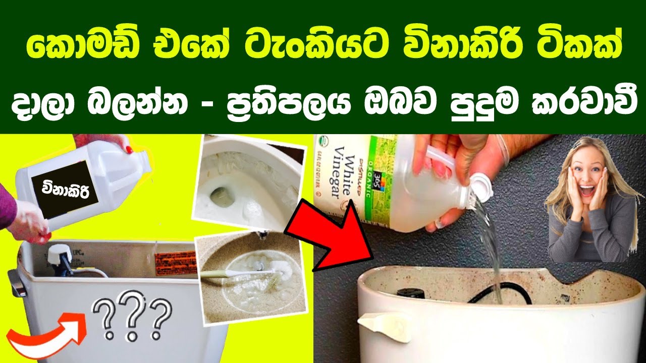 පොල් වතුර විනාකිරි හදාගෙන ගෙදර දොර වැඩ පහසු කරගන්න ක්‍රම 7 ක් | Pour Vinegar Into Your Toilet