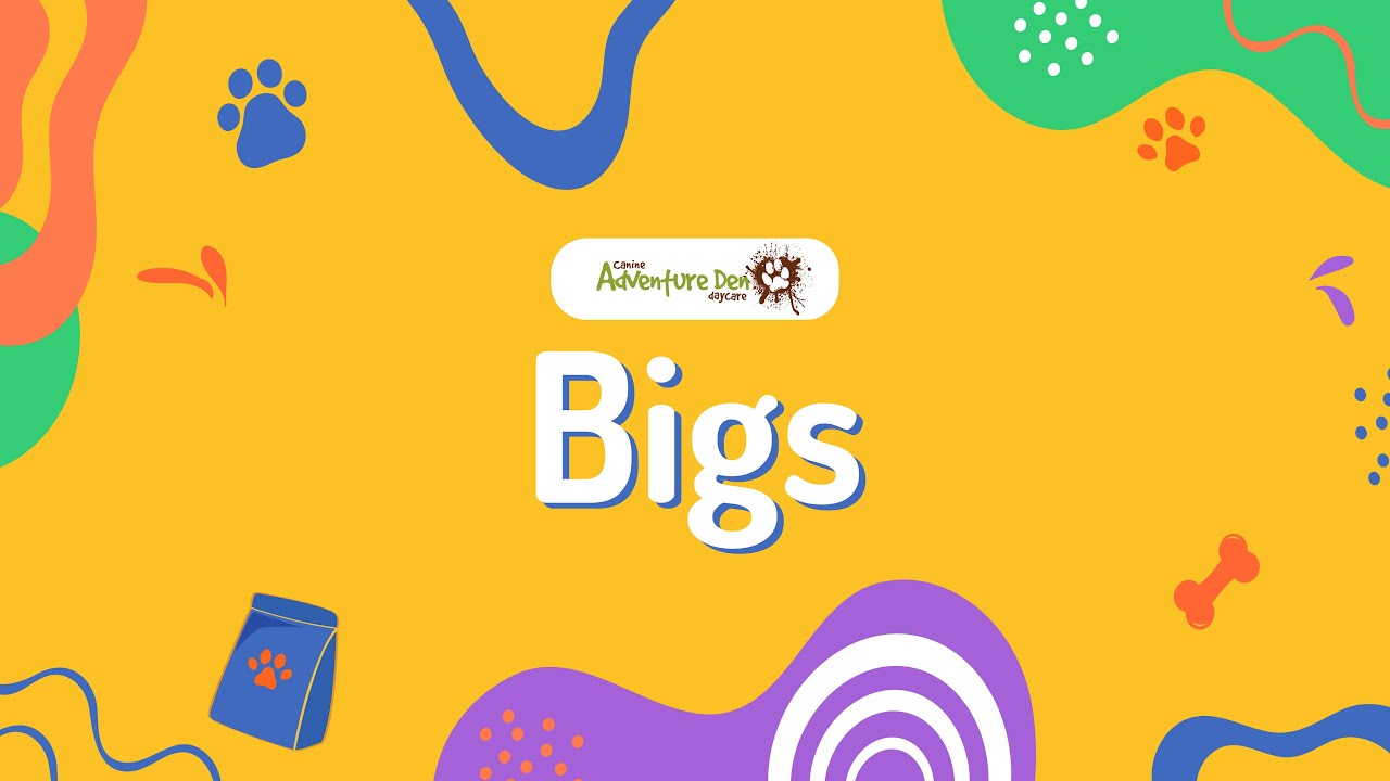 AD: Bigs - February 5th 2026