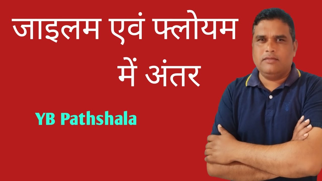 जाइलम एवं फ्लोयम में अंतर !!