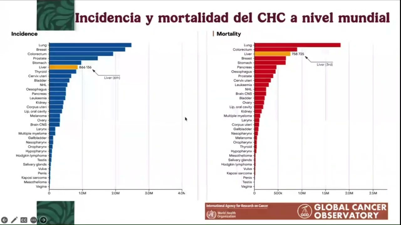 2  Epidemiología del carcinoma hepatocelular   Nayelli Cointa Flores García