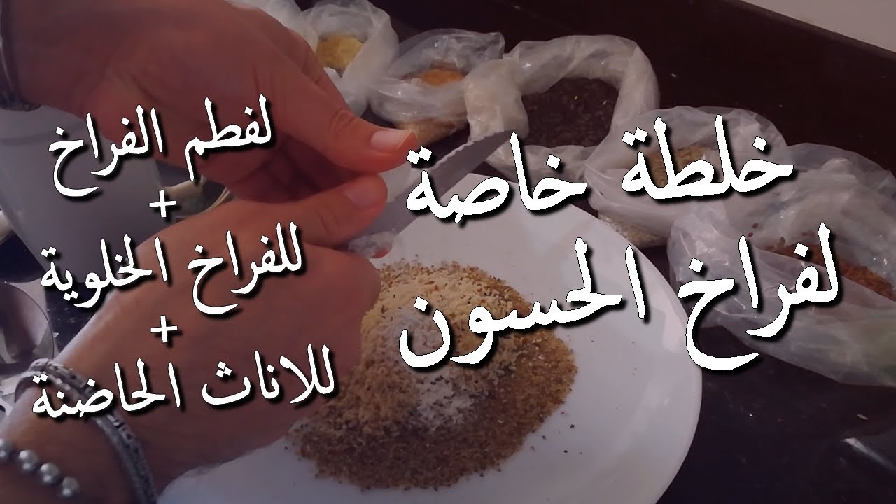أحسن خلطة للفراخ | خلطة متكاملة لفطم فراخ الحسون، للإناث الحاضنة وأيضا للفراخ البرية صيد جديد